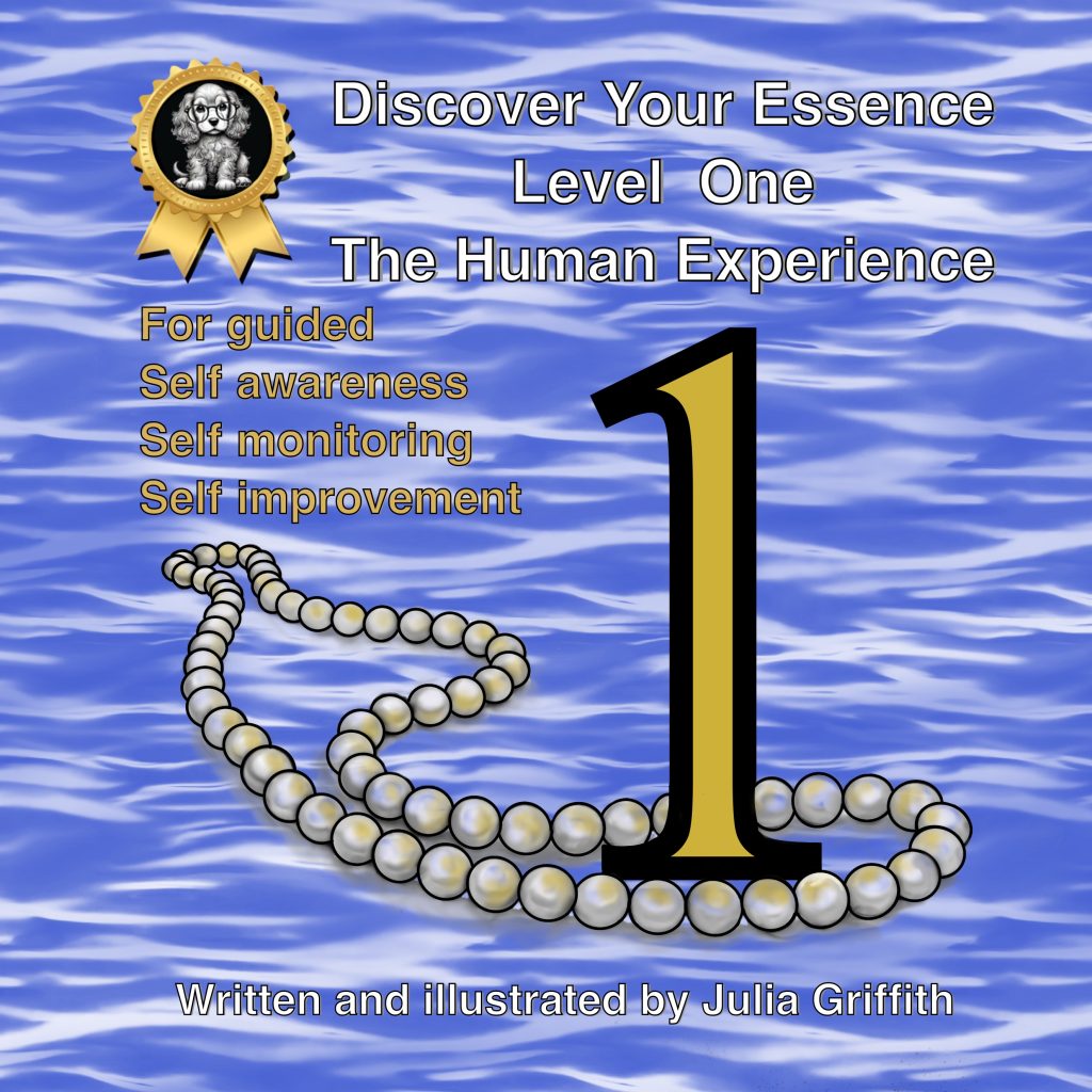 Discover Your Essence Level 1 - The Human Experience